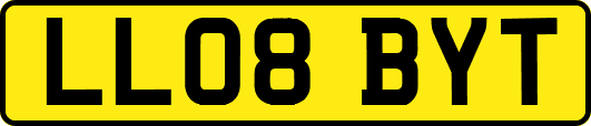 LL08BYT