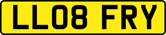 LL08FRY