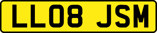 LL08JSM