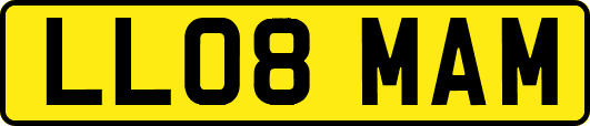 LL08MAM