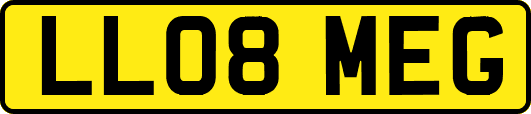 LL08MEG