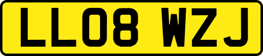 LL08WZJ