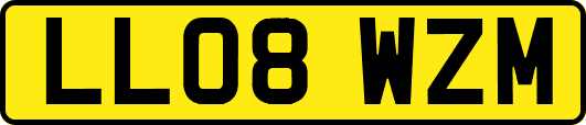 LL08WZM
