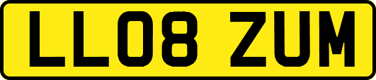 LL08ZUM