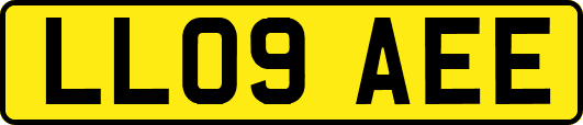 LL09AEE