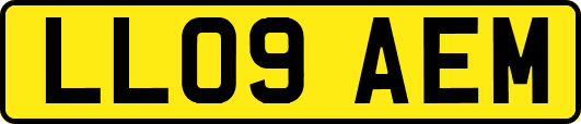 LL09AEM