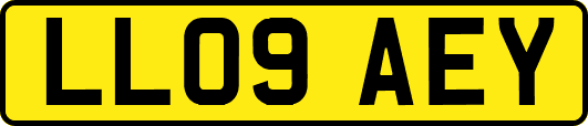 LL09AEY