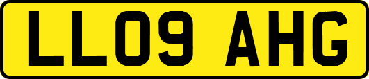 LL09AHG