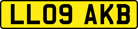 LL09AKB