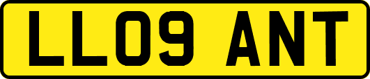 LL09ANT
