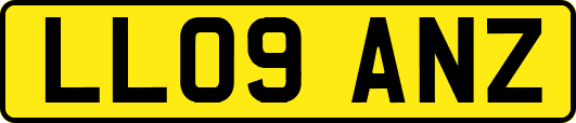 LL09ANZ