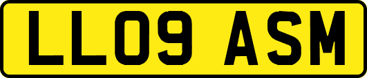 LL09ASM