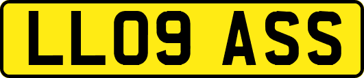 LL09ASS