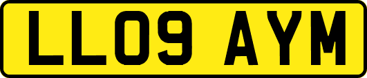 LL09AYM
