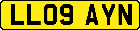 LL09AYN