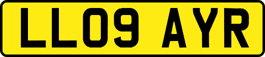 LL09AYR