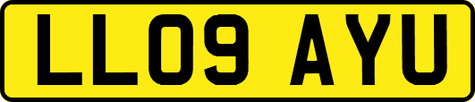 LL09AYU