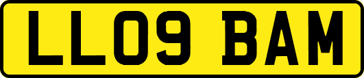 LL09BAM