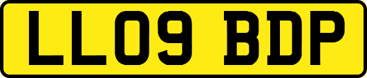 LL09BDP