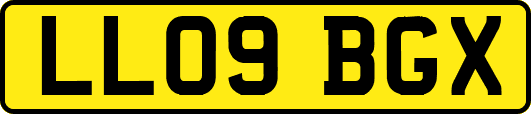 LL09BGX