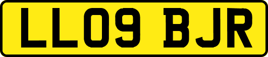 LL09BJR