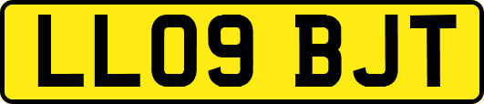 LL09BJT