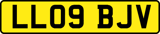 LL09BJV