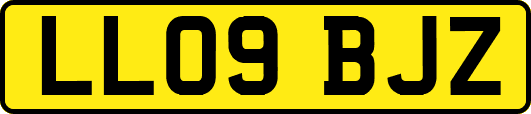 LL09BJZ