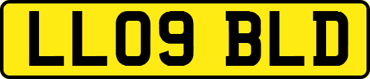 LL09BLD