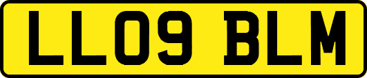 LL09BLM