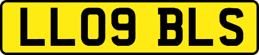 LL09BLS