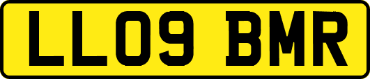 LL09BMR