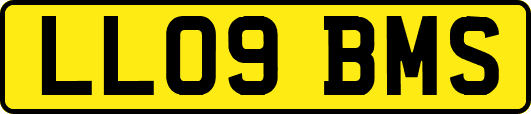 LL09BMS