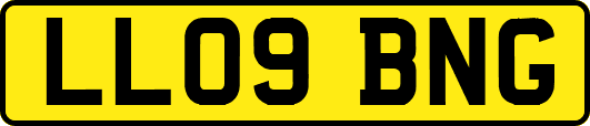 LL09BNG