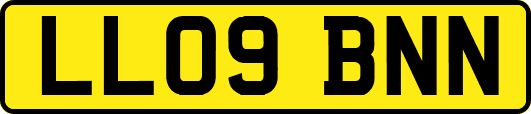 LL09BNN