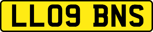 LL09BNS