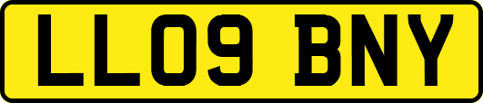 LL09BNY