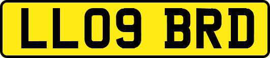 LL09BRD