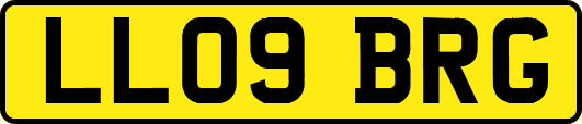 LL09BRG