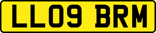 LL09BRM