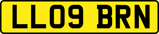 LL09BRN