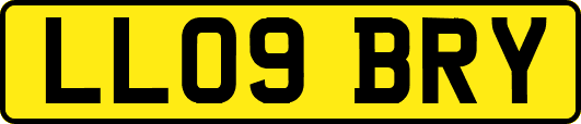 LL09BRY
