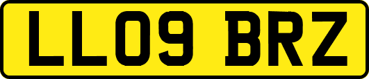 LL09BRZ