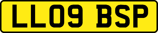 LL09BSP