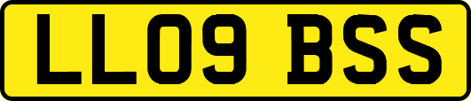 LL09BSS
