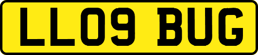 LL09BUG