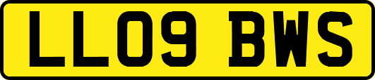 LL09BWS