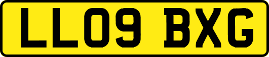 LL09BXG