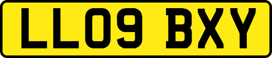 LL09BXY