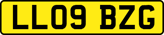 LL09BZG